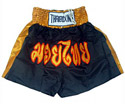 Muay Thai Shorts : Black - Gold