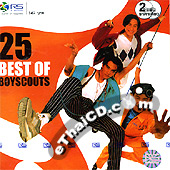 25 Best of Boyscouts