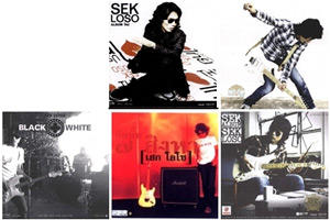 Sek Loso : Fan Collection (5 CDs)