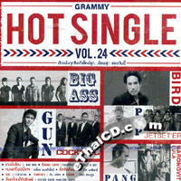 Karaoke DVD : Grammy - Hot Single Vol.24