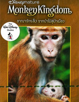 Disneynature: Monkey Kingdom [ DVD ]