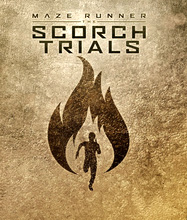  Maze Runner Trilogy (DVD) : Dylan O'Brien, Kaya