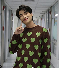 Leela : Green Heart Sweater