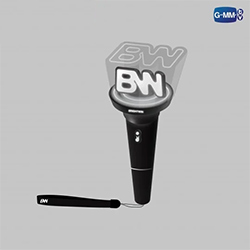 BrightWin : Official Light Stick
