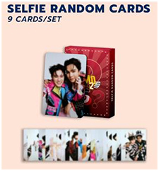 DMD LAND 2 : Selfie Random Cards