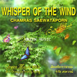 Chamras Saewataporn : Whisper of the wind