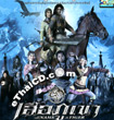 In The Name of The Tiger [ VCD ]