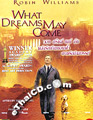 What Dreams May Come [ DVD ]