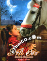 Winky's Horse [ DVD ]