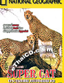 Super Cat [ DVD ]
