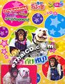 The Adventure of Pang and James Vol.5 [ DVD ]