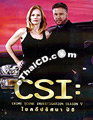 CSI : Las Vegas - Season V [ DVD ]