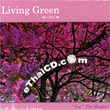 Nantida & Sarunya & Maleewan : Living Green Pai The Magical Valley