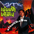 Collectibles Records Vol.8 : Suthep Wongkumhaeng