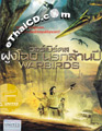 Warbirds [ DVD ]
