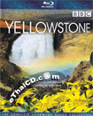 Yellowstone - Tales From The Wild [ Blu-ray ] (Metalpak)