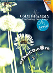 Karaoke DVD : Grammy : Everlasting Love Songs Vol.5 - City Avenue