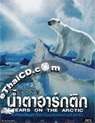 Tears On The Arctic [ DVD ]