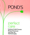 Pond's : Perfect Care Lemon Cold Deep Cleanser