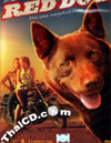 Red Dog [ DVD ]