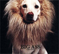 Big Ass : The Lion