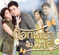 Thai TV series : Dokya Nai Payu [ DVD ]   