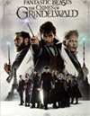 Fantastic Beasts: The Crimes of Grindelwald [ DVD ]