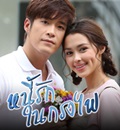 Thai TV series : Nhee Ruk Nai Krong Fai [ DVD ]