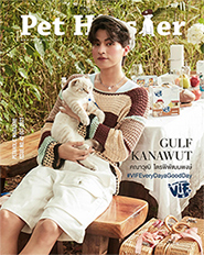 Pet Hipster No.42 : Gulf Kanawut