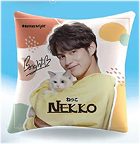 Nekko X Bright Collection : Pillow - Type B