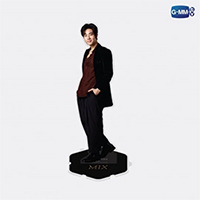 Signature Series : Mix - Acrylic Standee