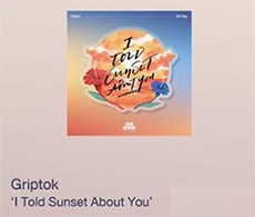 I Told Sunset About You : Griptok