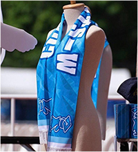 Win Metawin : WIN Congrats Grad Party Cheer Scarf