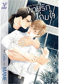 Thai Novel : Love Storm